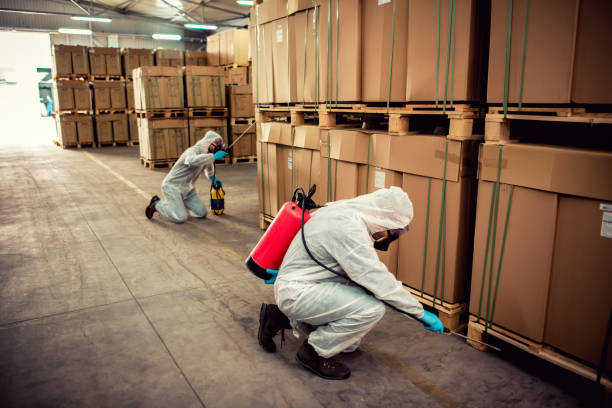 Flea Control Services in North East, MD