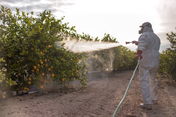 Best Residential Pest Control  in North East, MD