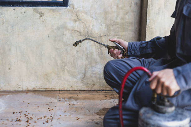 Best Termite Control Services  in North East, MD